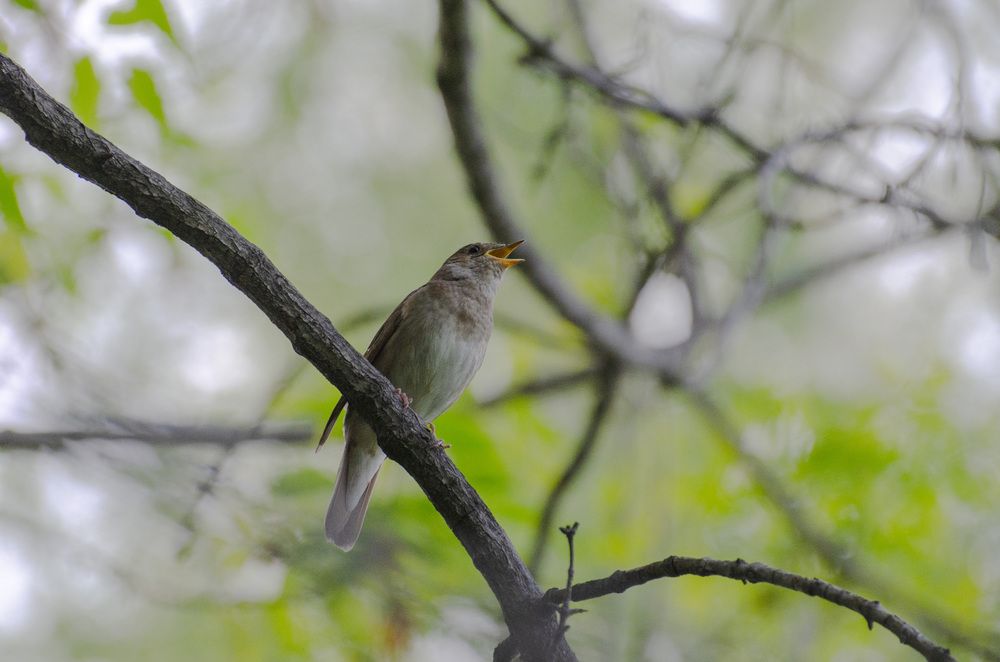 Photograph by Светлана Кудянова