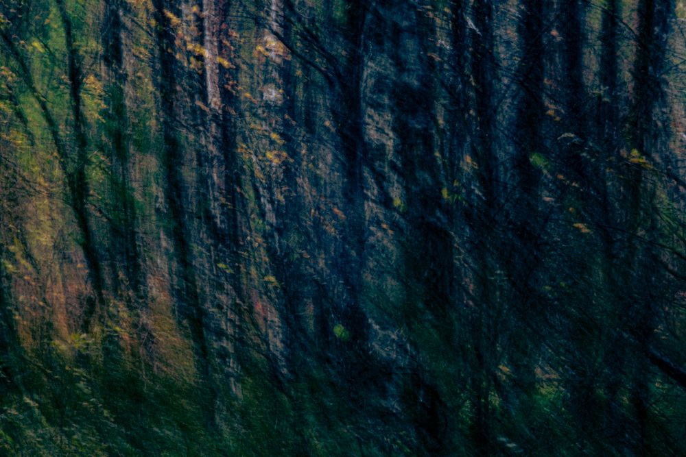 Photograph by Александра Раева