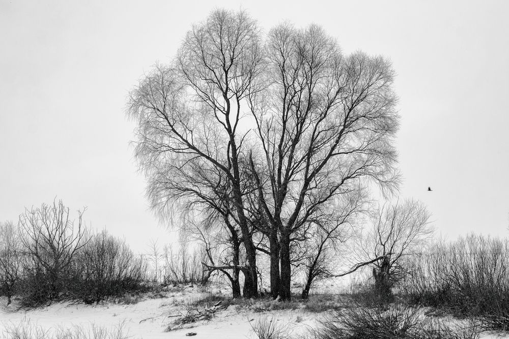 Photograph by Сергей Дишук