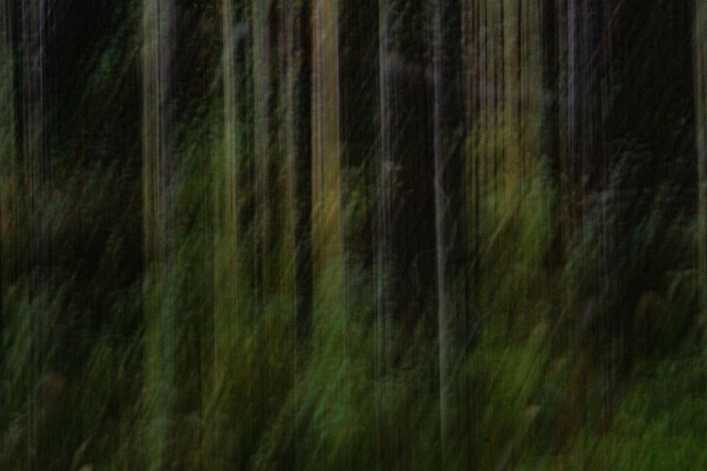 Photograph by Александра Раева
