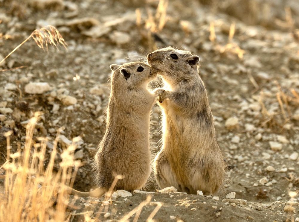 Photograph by Владимир Цветов