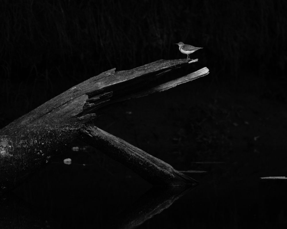 Photograph by Макс Полюхович