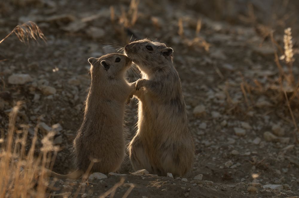 Photograph by Владимир Цветов