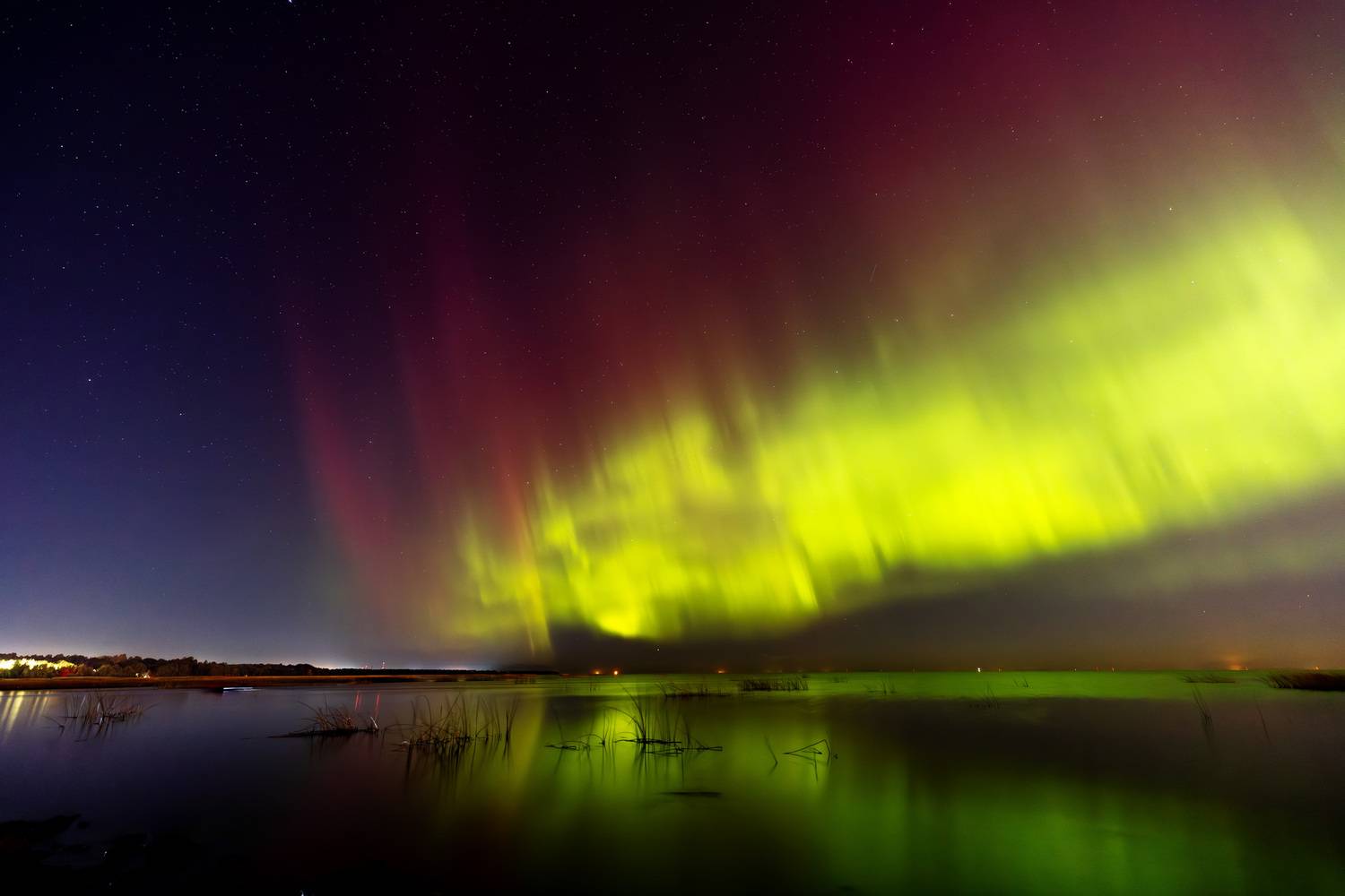 Фотография #13396218