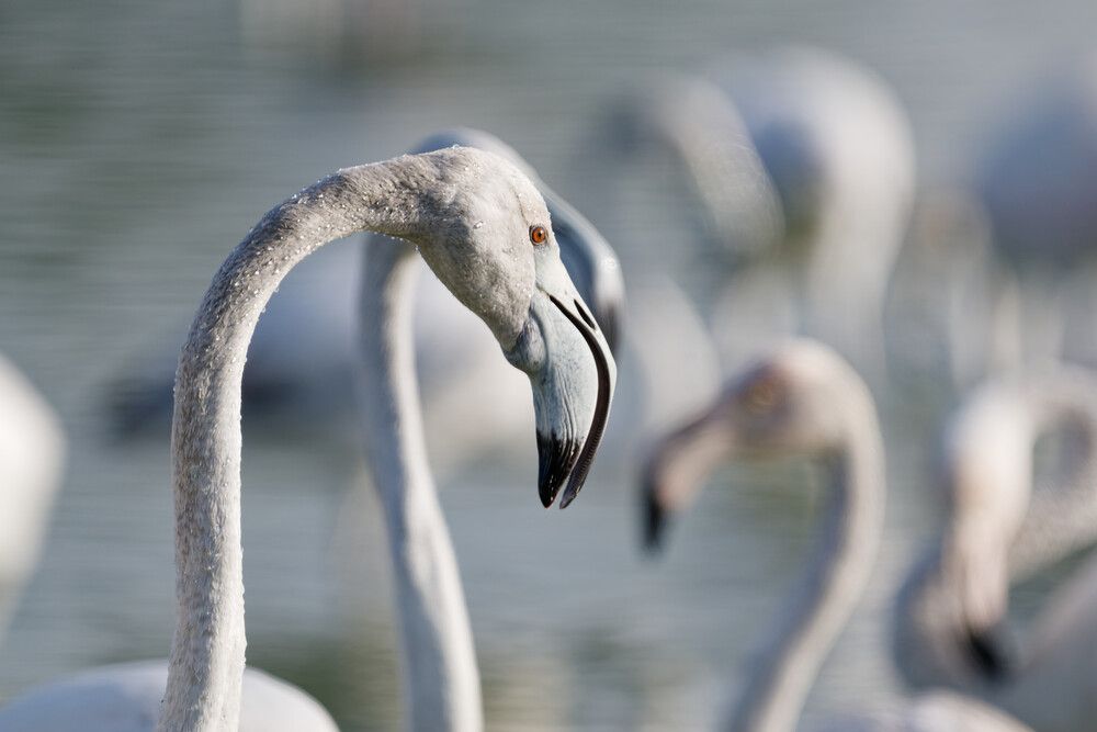 Photograph by Timofey Vlasov