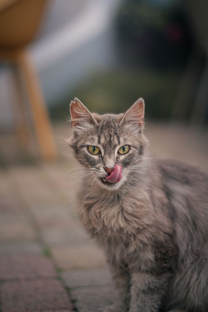 Photograph by Марк Шамовский