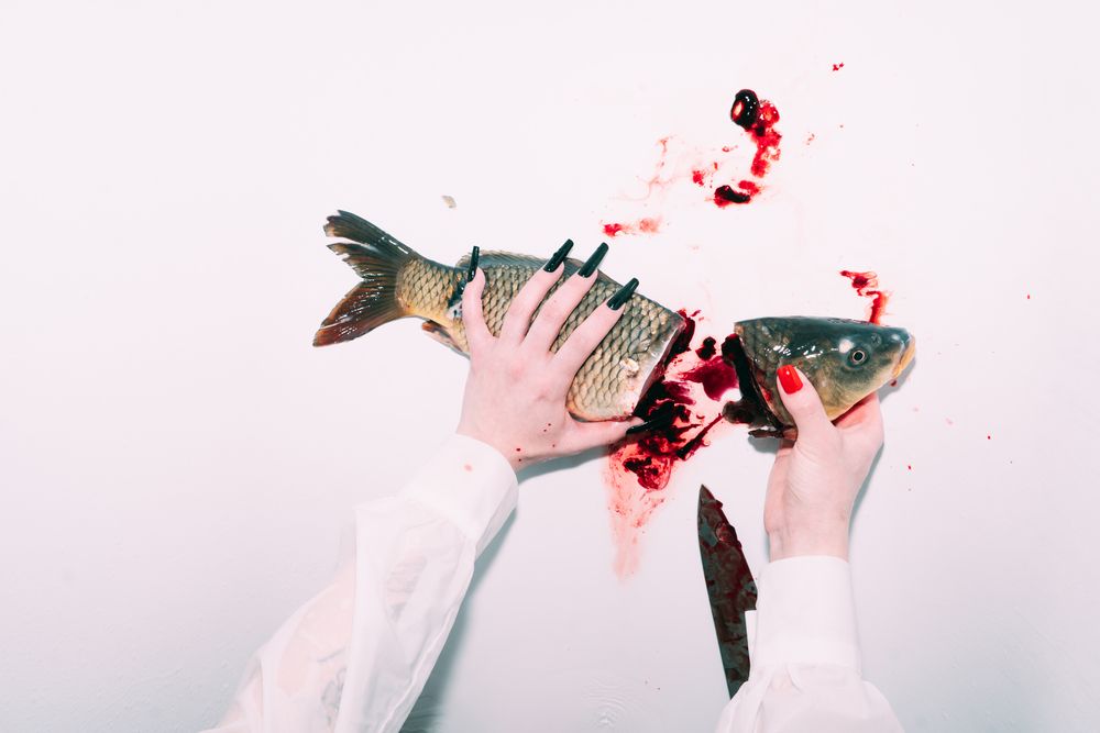 Photograph by Александр Сперанский