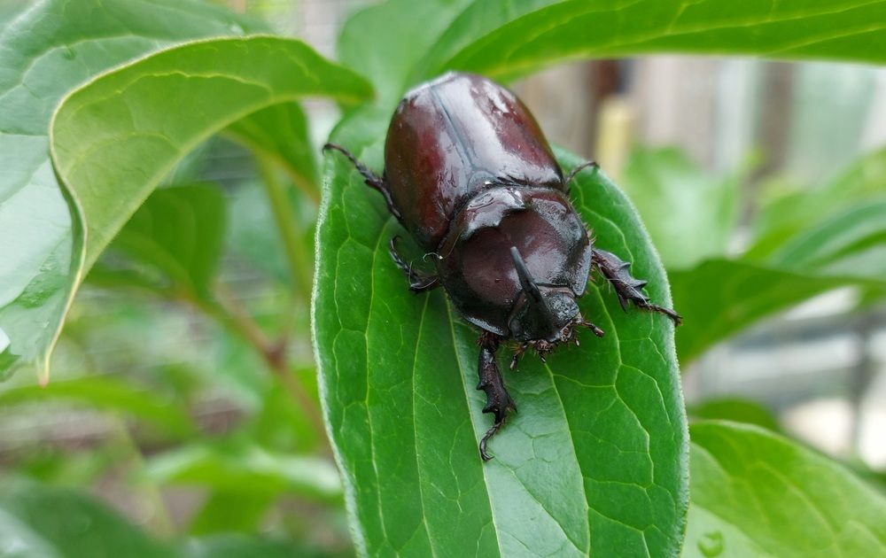 Photograph by Галчонок Ахмерова