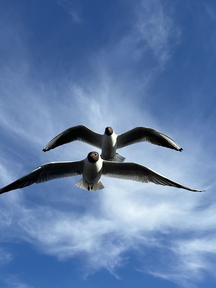 Photograph by Алиса Дресвянникова