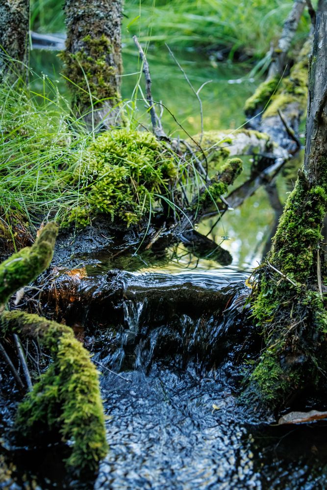 Photograph by Покрышкин Максим