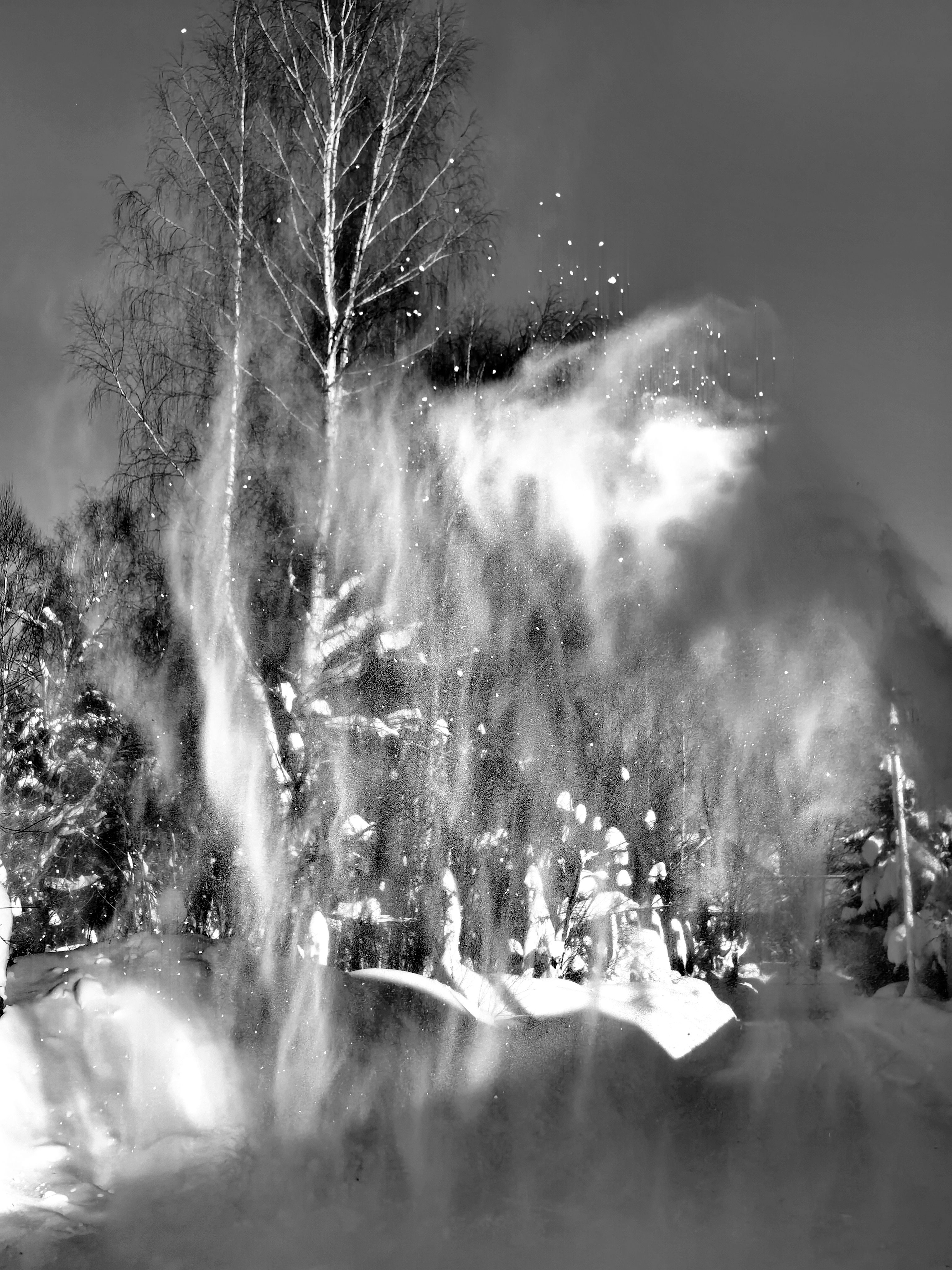 Фотография автора Елена Охапкина