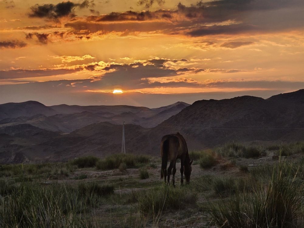 Photograph by Shermuhammadjon Gayratov