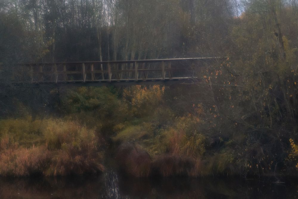 Фотография автора Евгений Дубенцов