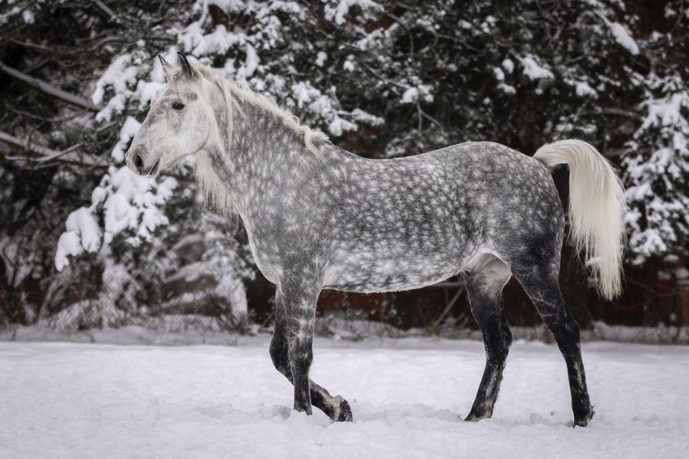 Photograph by Анастасия Петрова