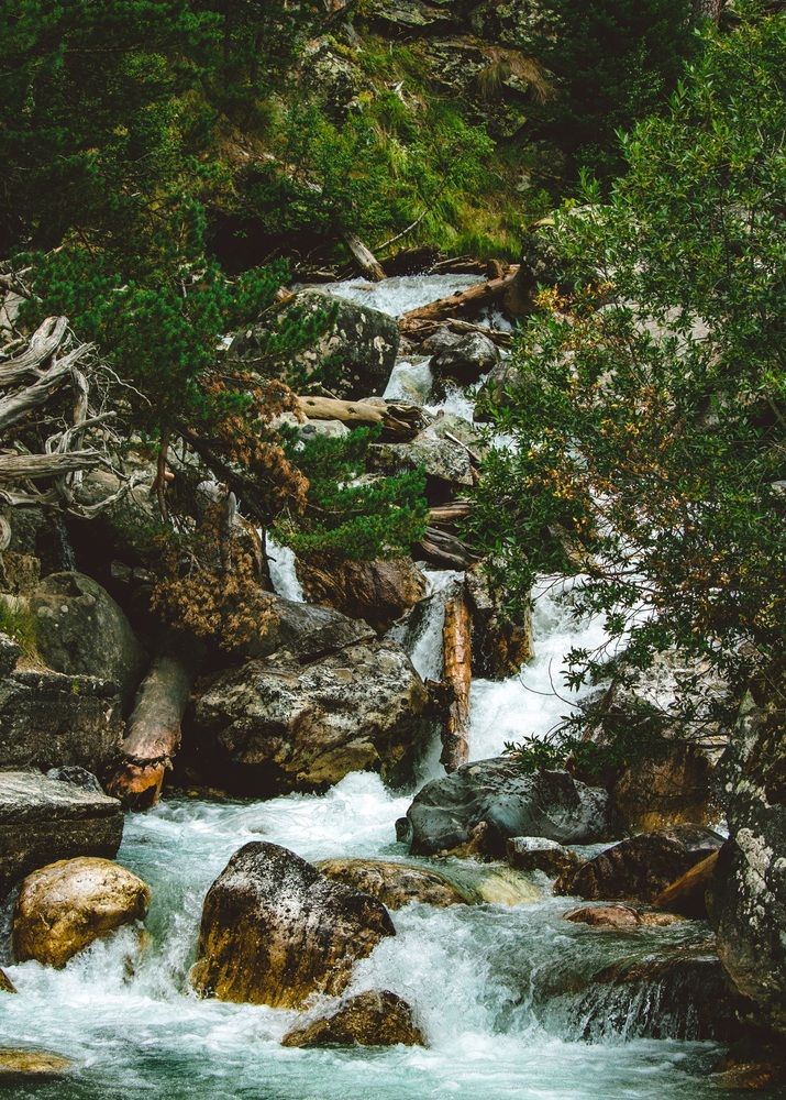 Фотография автора Галчонок Ахмерова