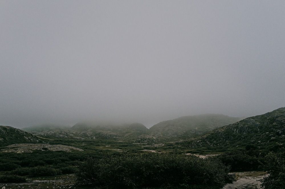 Photograph by Ирина Чернышова