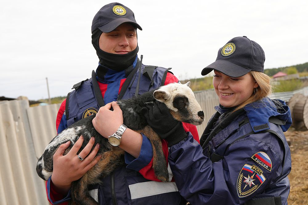 Добровольцы ВСКС помогают жителям села Утятское с домашним скотом