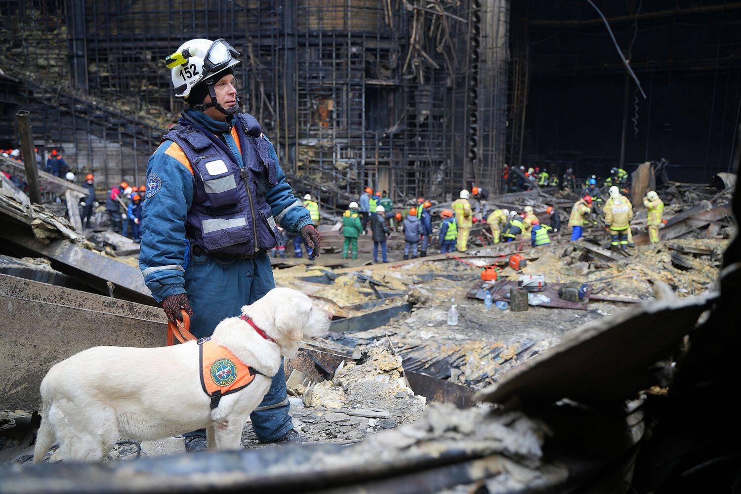 Кинологи Центра «Лидер» МЧС России работают на месте теракта в «Крокусе»