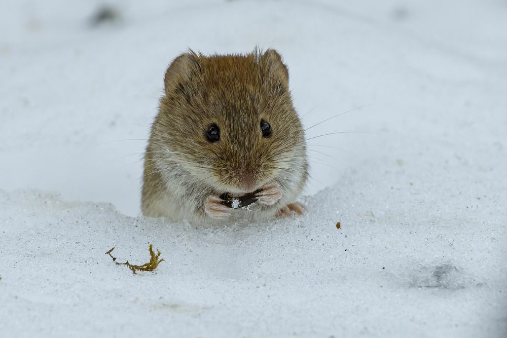Photograph by Вадим Андреев