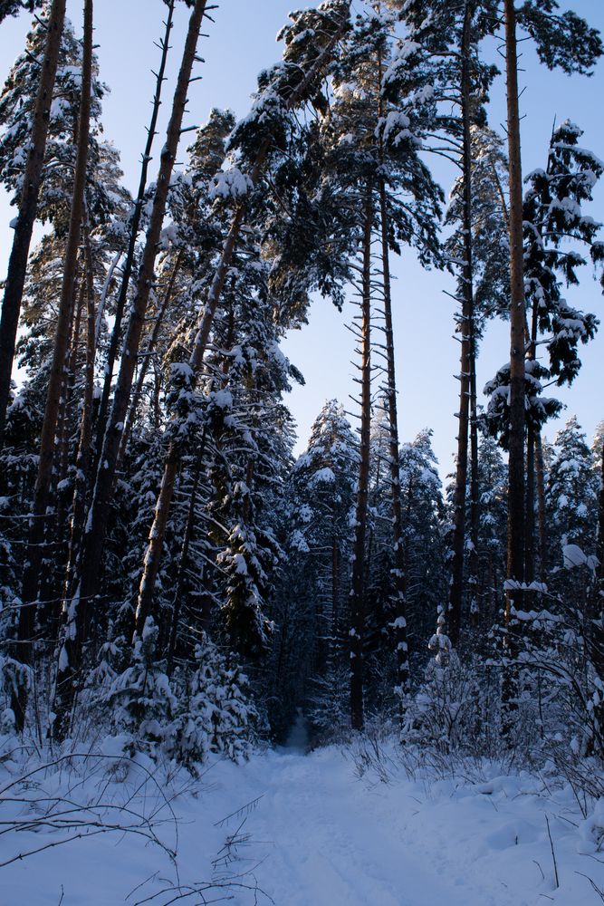 Photo #13396936