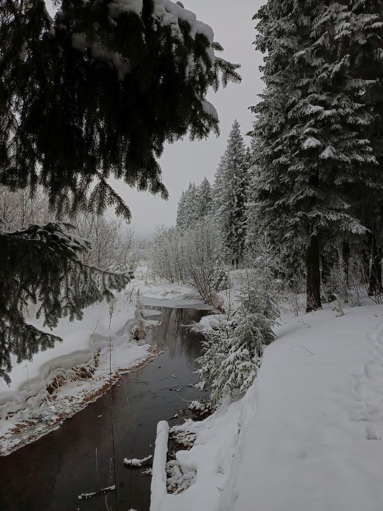 Photograph by Екатерина Зязина