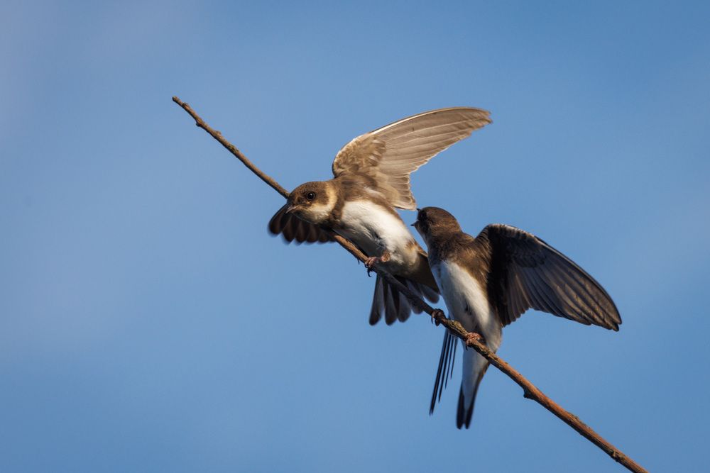 Photograph by Сергей Зорин