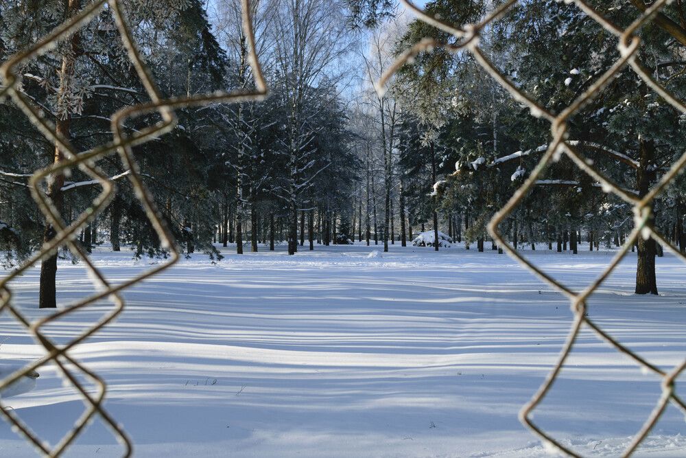 Photograph by Мария Дацкене