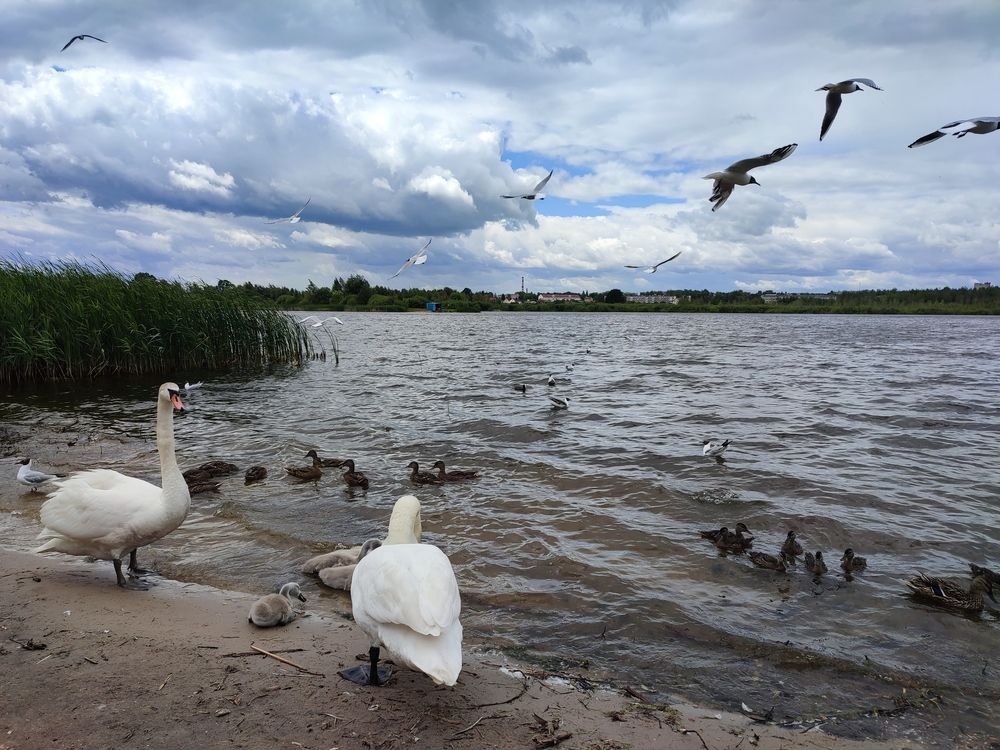 Photograph by Ирина К.