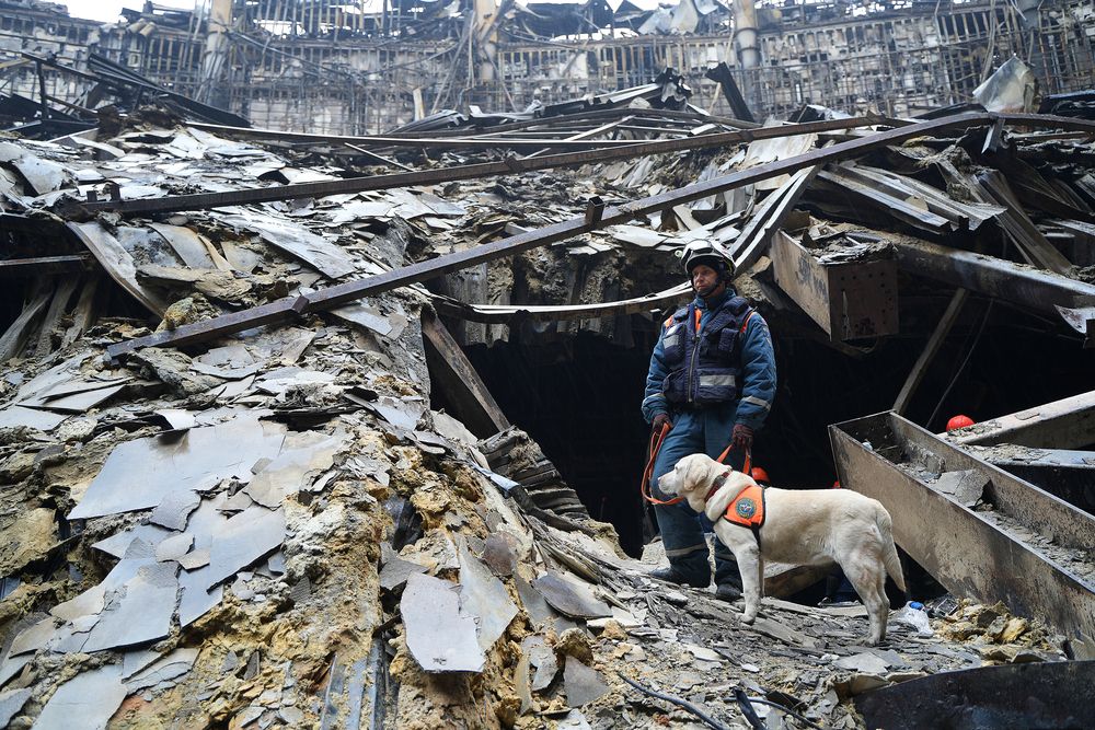 Кинологи Центра «Лидер» МЧС России работают на месте теракта в «Крокусе»