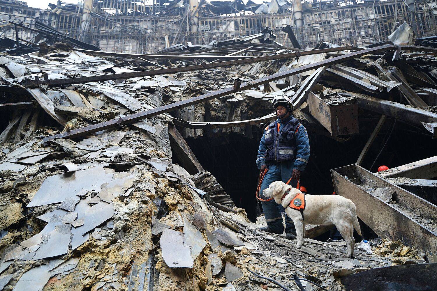 Кинологи Центра «Лидер» МЧС России работают на месте теракта в «Крокусе» Кинологи Центра «Лидер» МЧС России работают на месте теракта в «Крокусе»