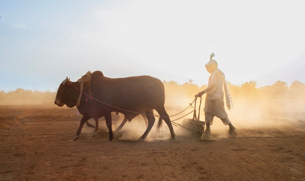 Photograph by Hazim elhag