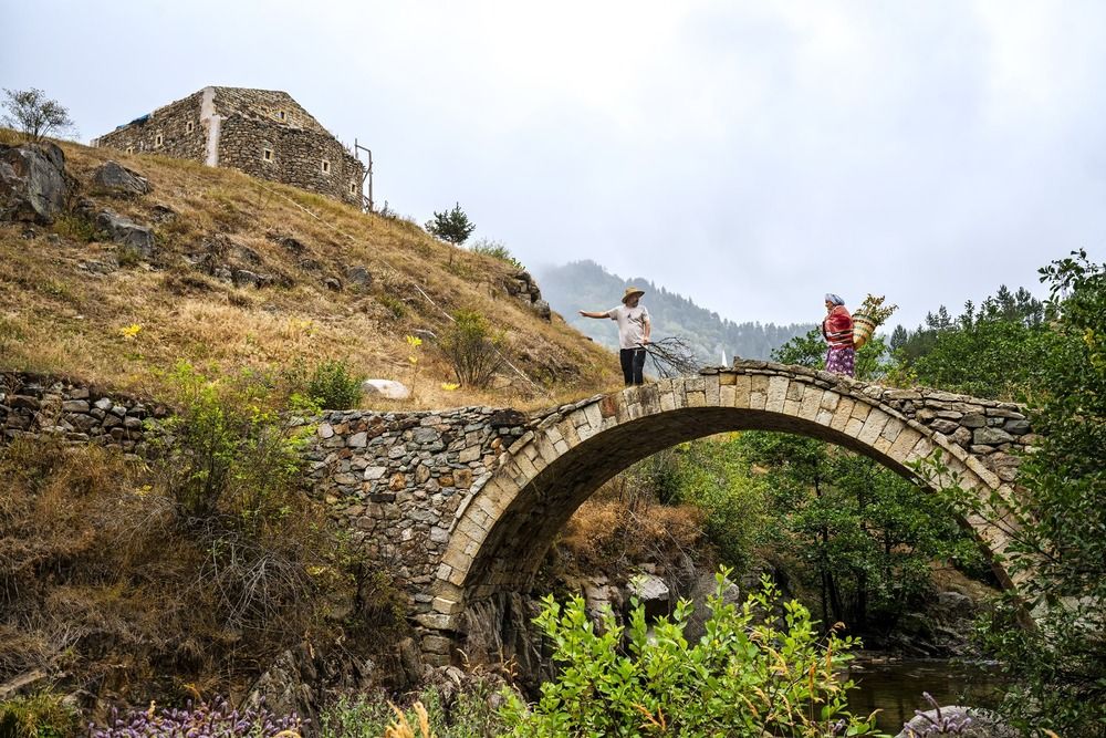 Photograph by Fikriye Er