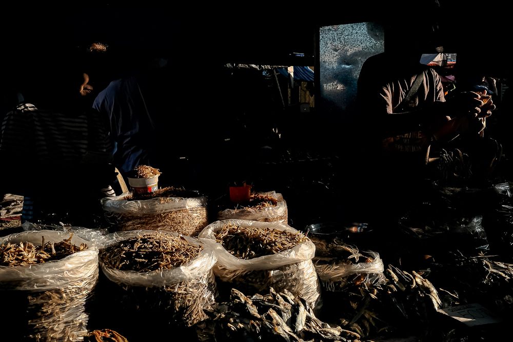 Фотография автора Rowell Timoteo