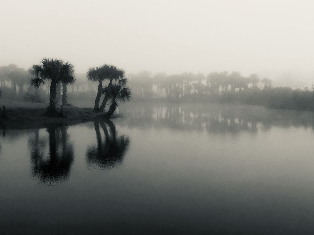 Фотография автора Николай Всеволодов