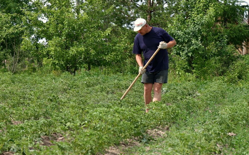 Photograph by Nelya  Lysenko