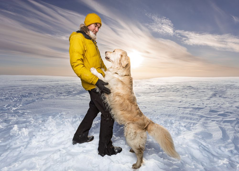Photograph by Дьяченко Алёна