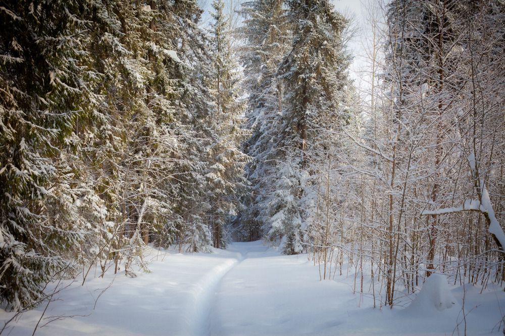 Photograph by Александр Оводов