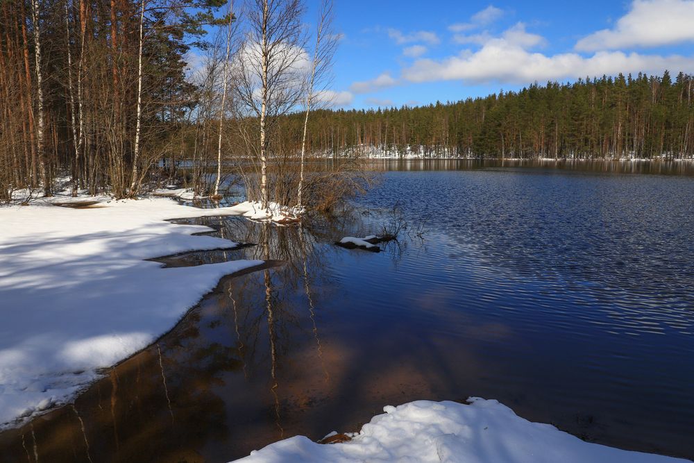 Photograph by Юлия Яковлева