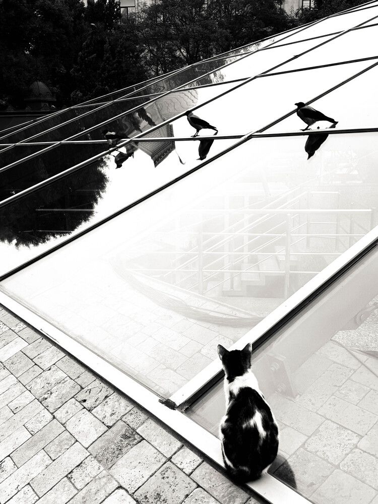 Photograph by Эмиль Иманов