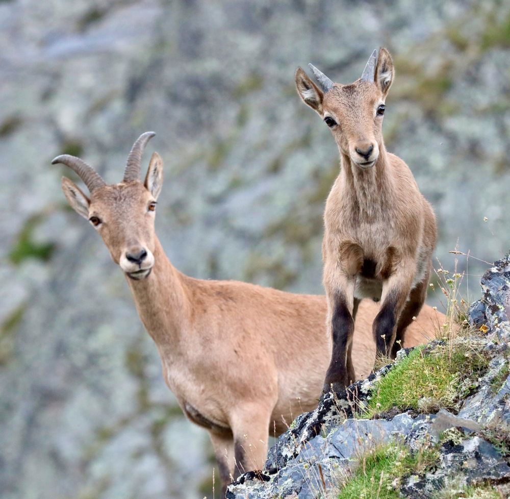 Мать и дитя
