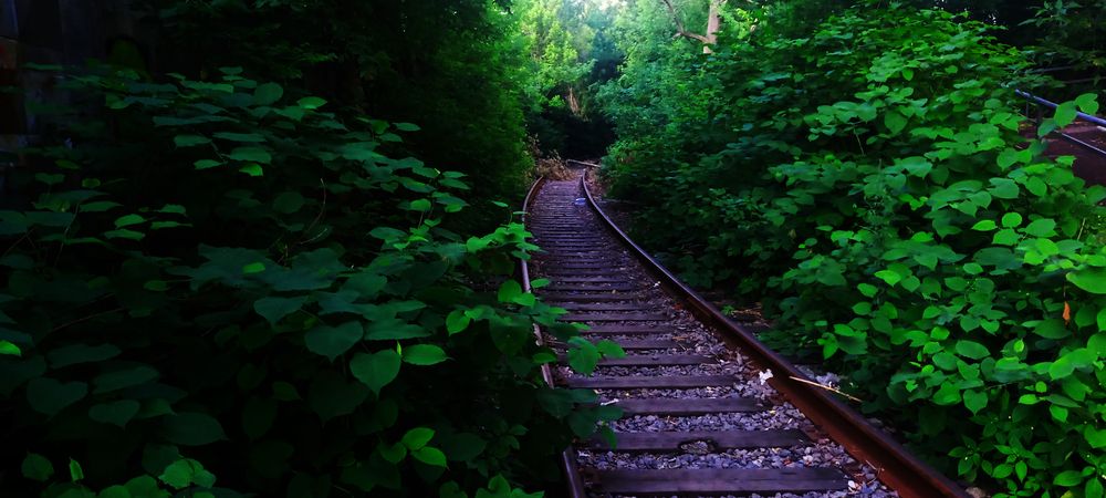 Железная дорога