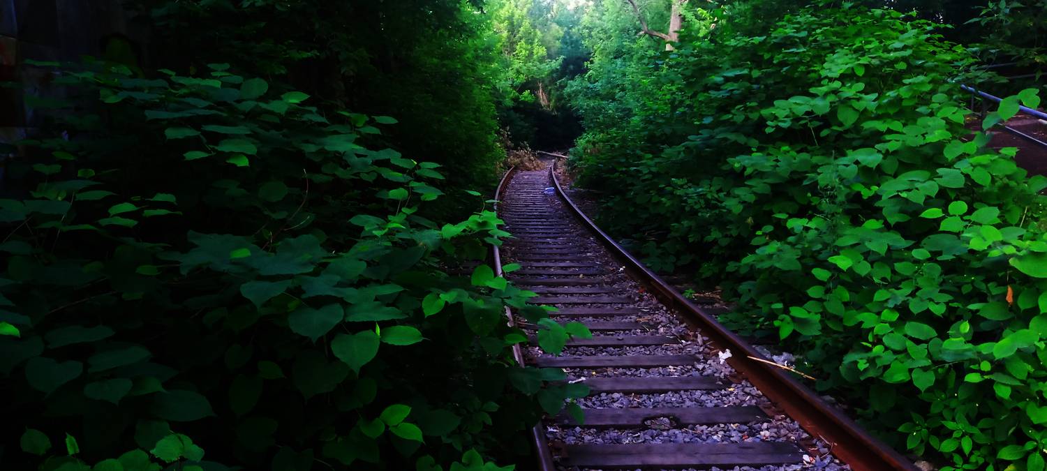 Железная дорога