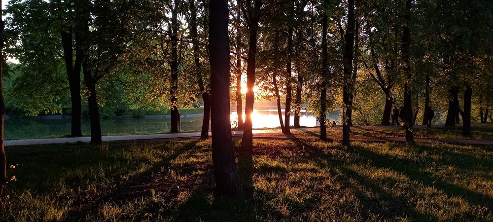 Восточное Измайлово