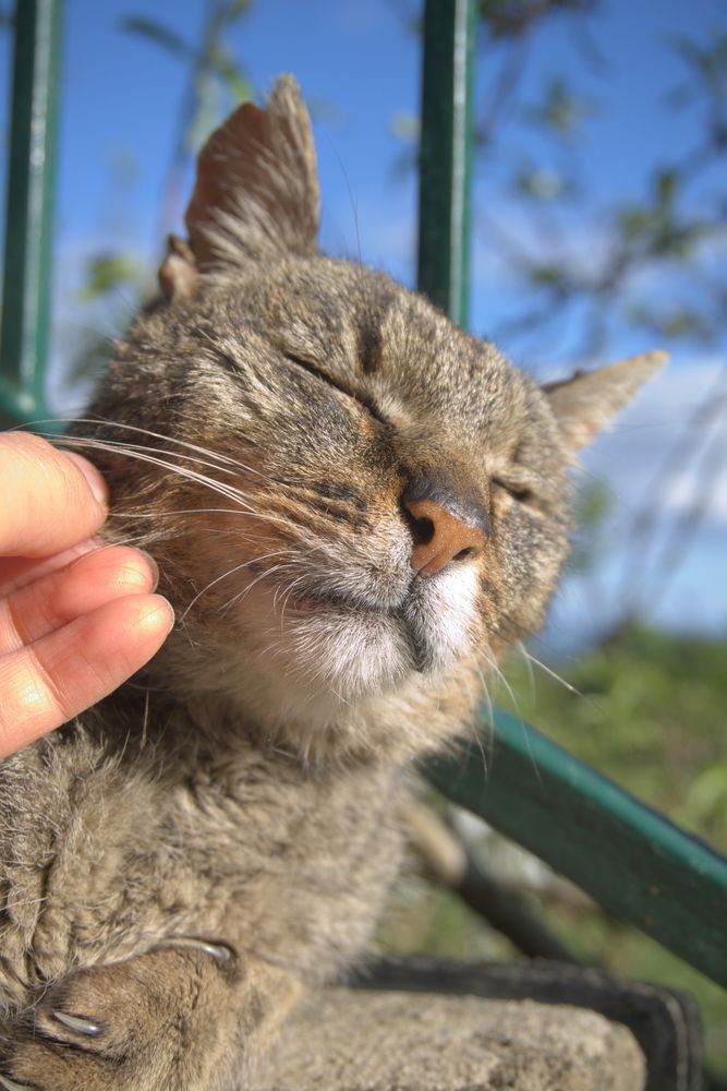 Photograph by Adaya Iglesias