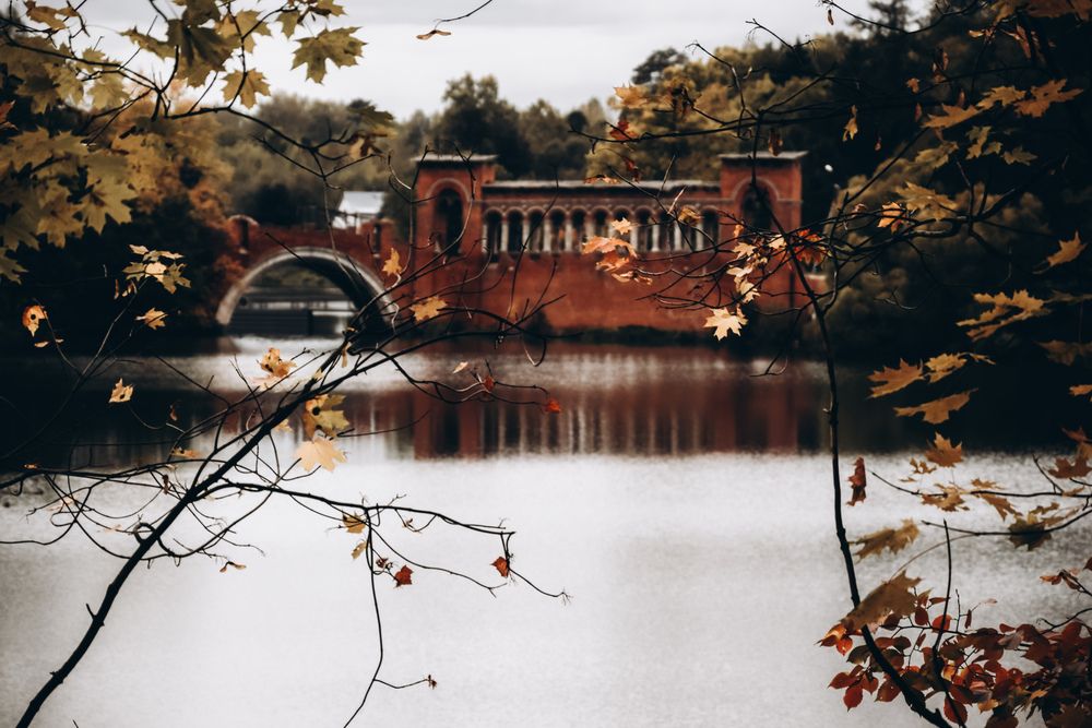 Photograph by Katherine Mils