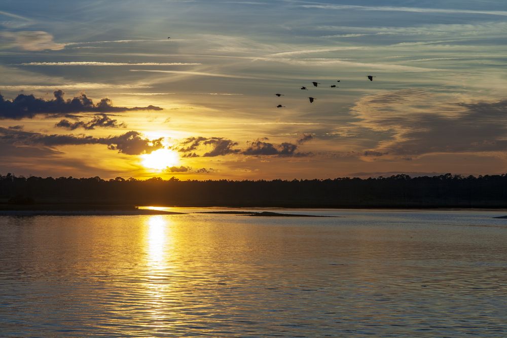 Фотография автора Николай Всеволодов