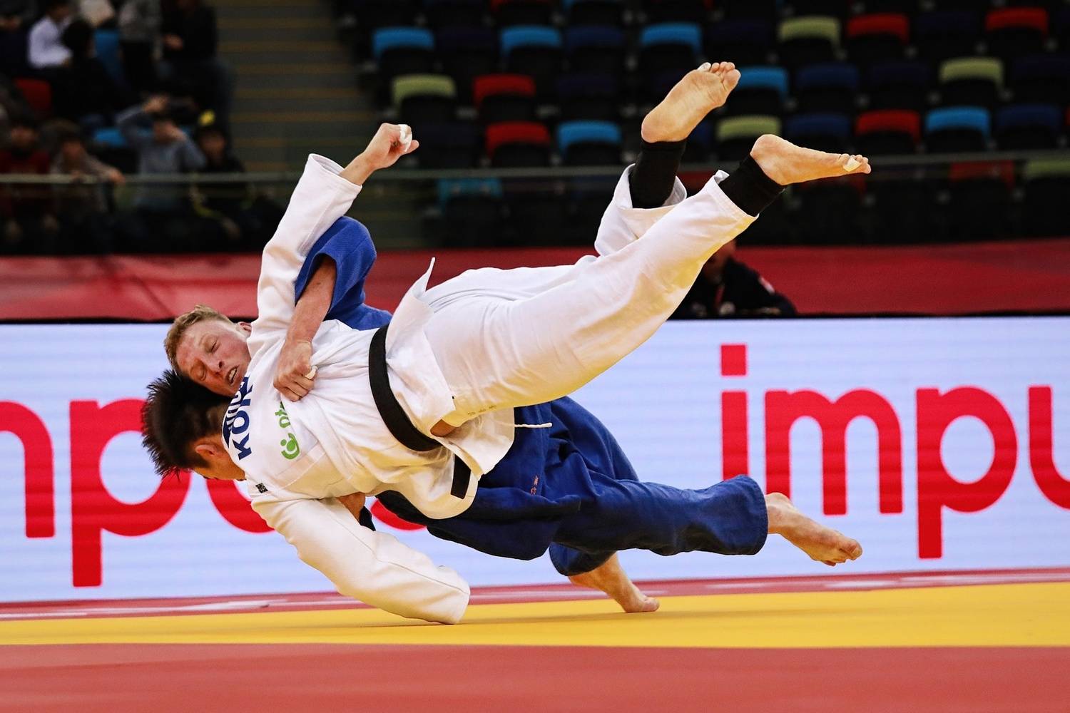 Photo #13397847