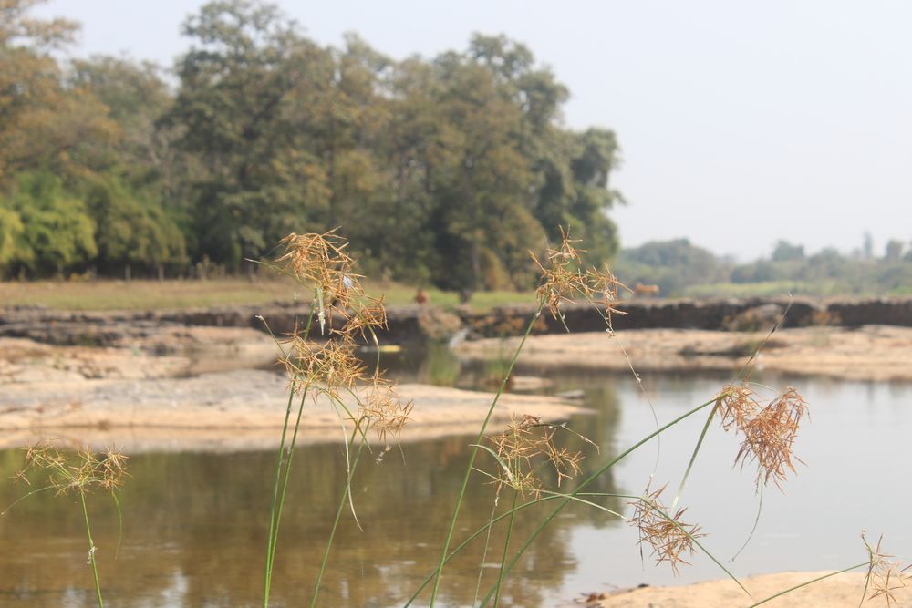 Riverfront view