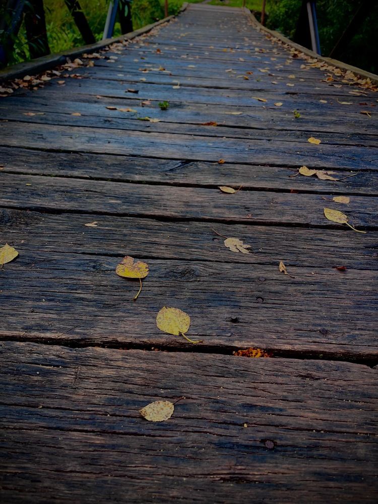 Photograph by Динара