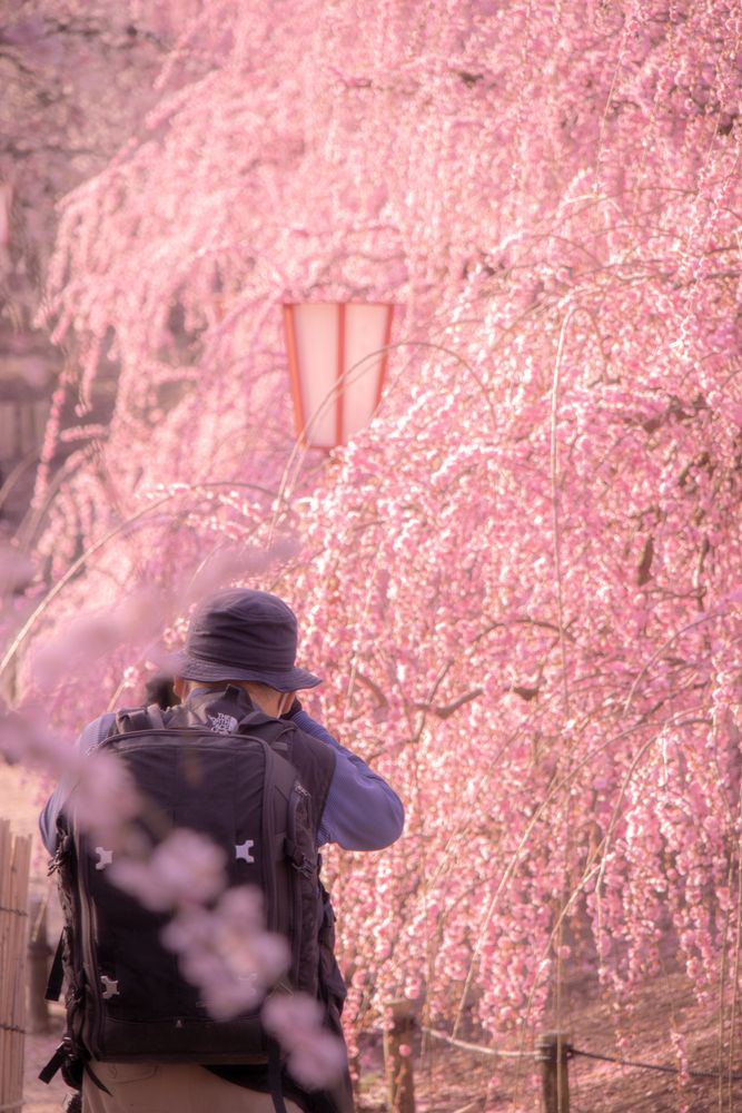 Photograph by kurodon